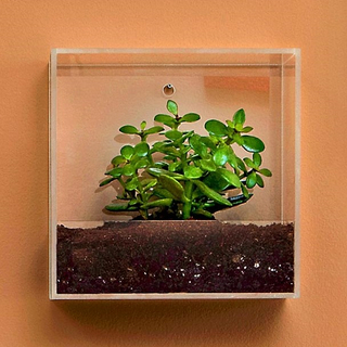 Glass Living Frame for Home Decoration