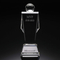 MVP Crystal Award (#14011)