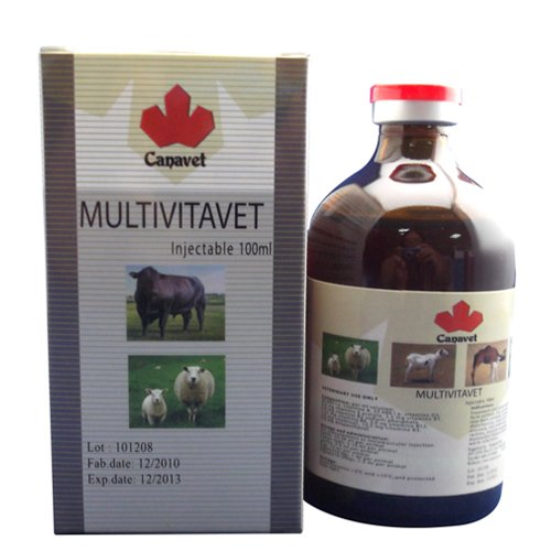 MULTIVITAVET