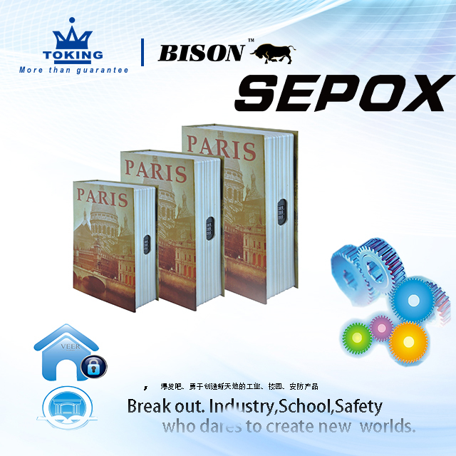 El libro de combinación Safe Series XB112