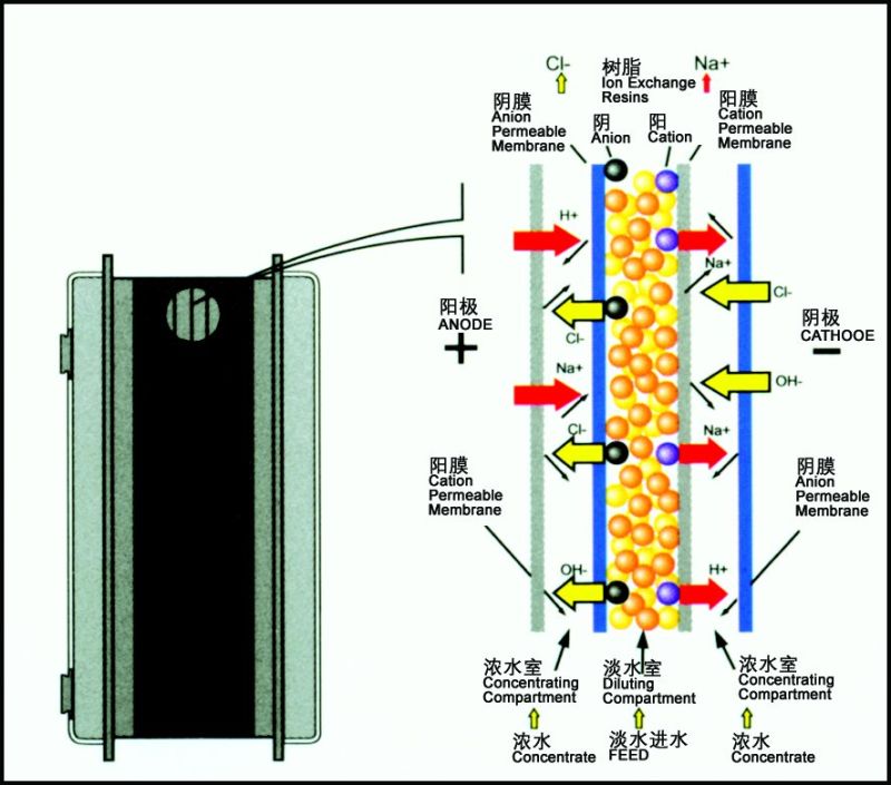 6000L Two Stage RO Water Treatment System + EDI Unit