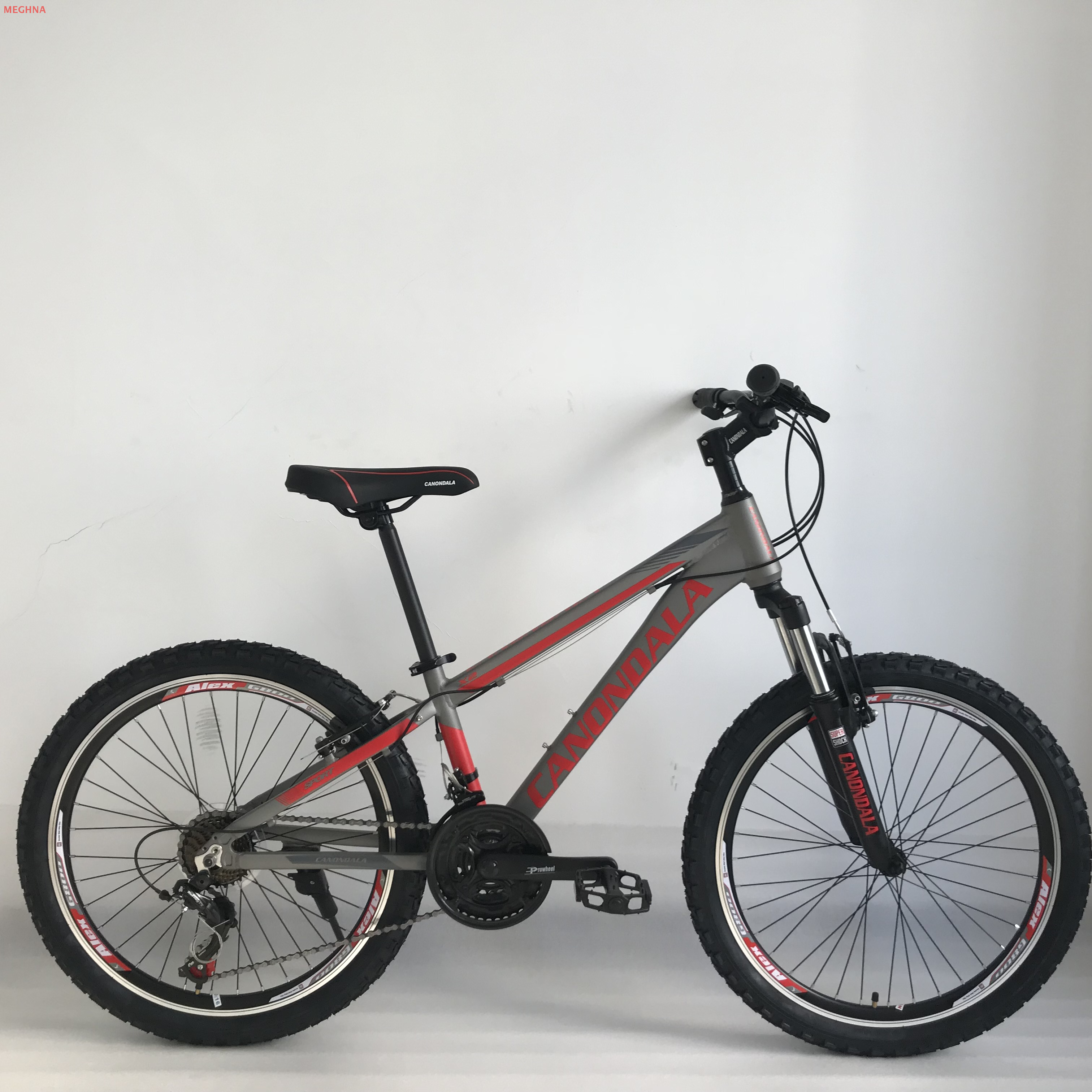 X2 24 mountain bicycle