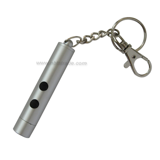 2 in 1 Laser Pointer