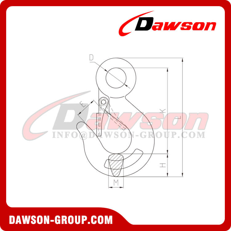 DS357 DIN 鍛造炭素鋼アイフック（ラッチ付き） - Dawson Group Ltd. - 中国メーカー、サプライヤー