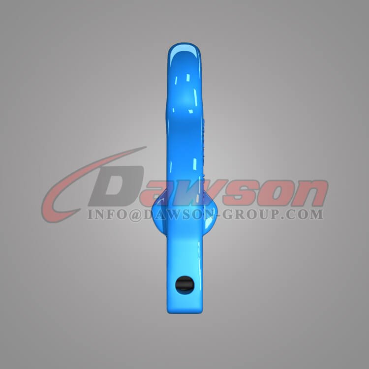 Gancho de olhal G100 com fixa&ccedil;&atilde;o de manilha para ajustar eslingas de corrente - Dawson Group Ltd - F&aacute;brica na China, fornecedor