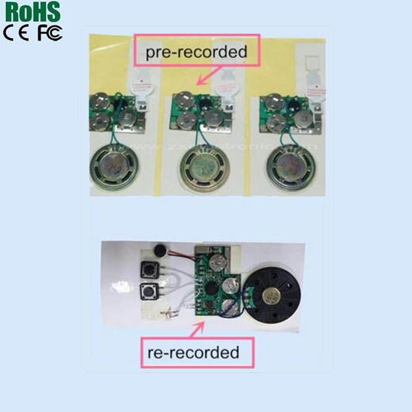 Recordable Sound Module With USB