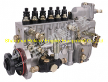 M1600-1111100-C27 Longbeng fuel injection pump for Yuchai 