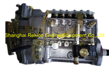 BP20J6Z 612600082288Z LONGBENG Fuel injection pump for Weichai WD12C300-15