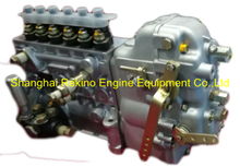 BP20L0Z 612600082295Z Longbeng fuel injection pump for Weichai WD12C400-21