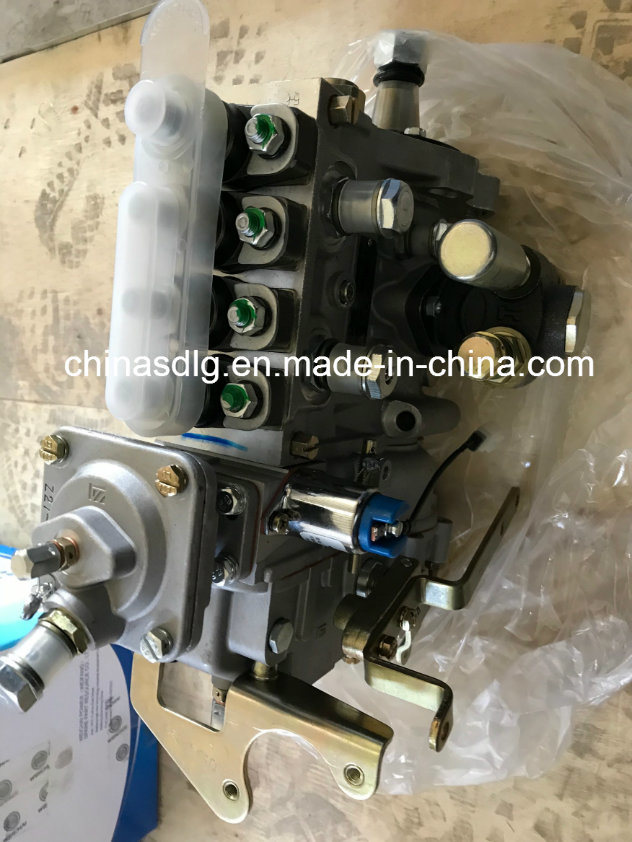 1000185678 Injection Pump for Wheel Loader