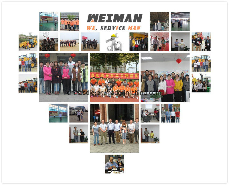 Fuel Injection Pump (unit pump) 4110001009024 Shandong Lingong