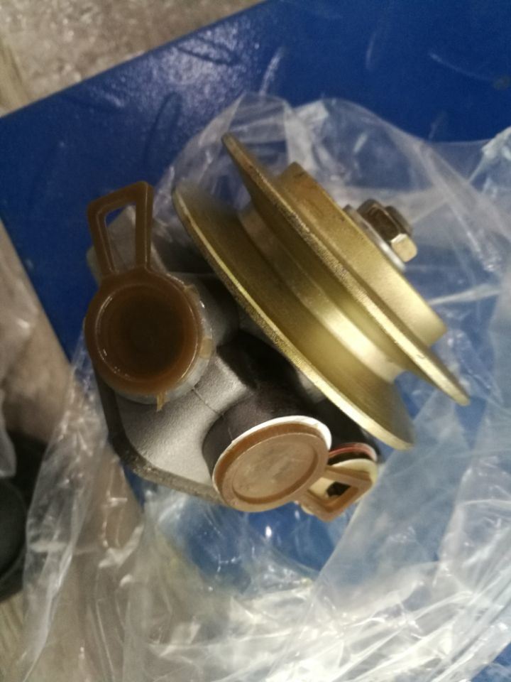 Fuel Pump 4110001841016-C04503573 From Sdlg
