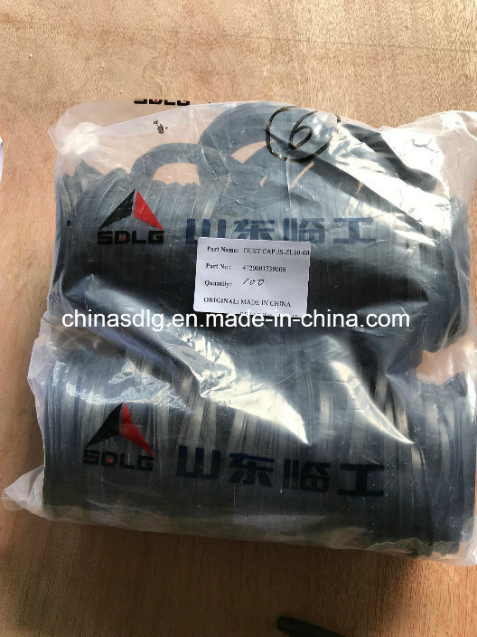 4120001739006 Dust Cap for Wheel Laoder