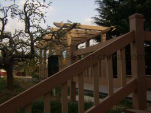 Decking en plastique en bois recyclable personnalis&eacute;/d'usine mod&egrave;le de bonne qualit&eacute; de compos&eacute;s