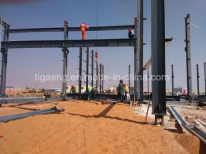 Atelier multi de structure m&eacute;tallique d'entrep&ocirc;t de structure m&eacute;tallique d'envergure avec la grue