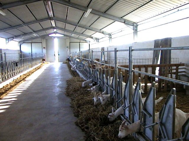 Chicken House Durable Prefabricated Steel Structure for Poultry