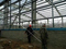 Rust Proof Chicken Farm Multi Span Steel Structure Building