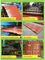 High Quality Corrugated PPGI/PPGL Steel Roofing Plate