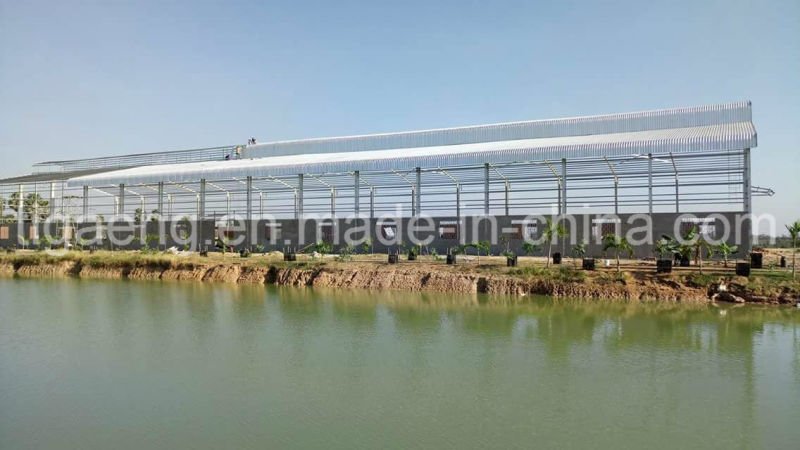 Low Price Heavy-Duty Parking Lot/Warehouse/Store House/Storage/Supermarket for Algeria