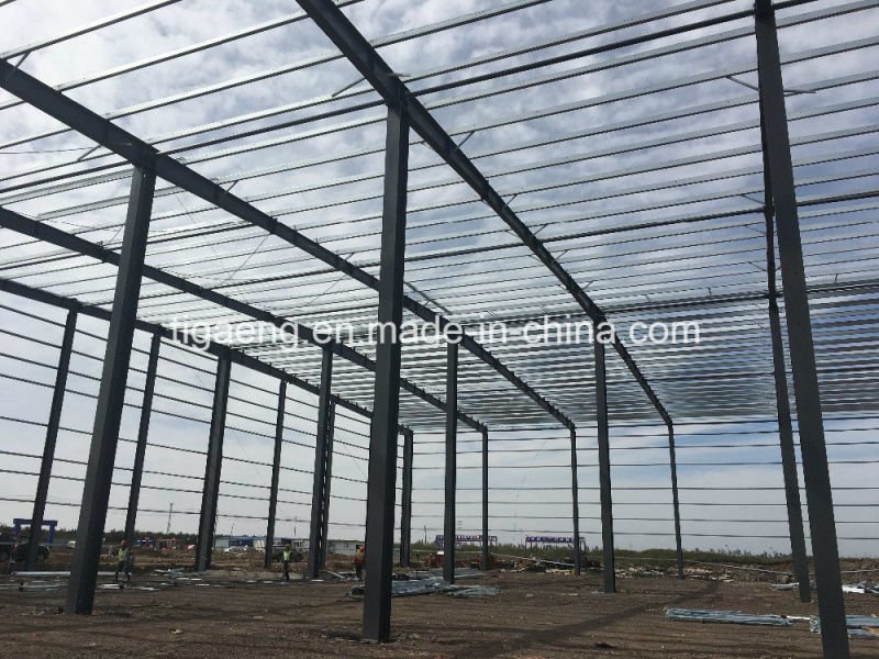 Reasonable Price Curved Roof Well Designed Steel Structure Godown