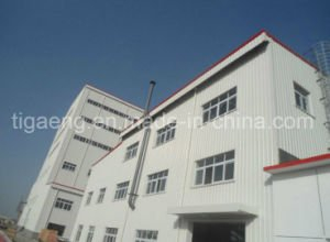 El marco de acero ligero prefabricado estructura el Godown para &Aacute;frica