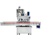 XG-100 linear capping machine 