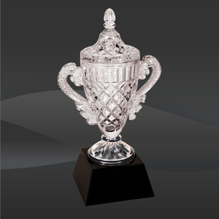 Completely Crystal Trophy Cup