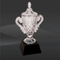 Completely Crystal Trophy Cup