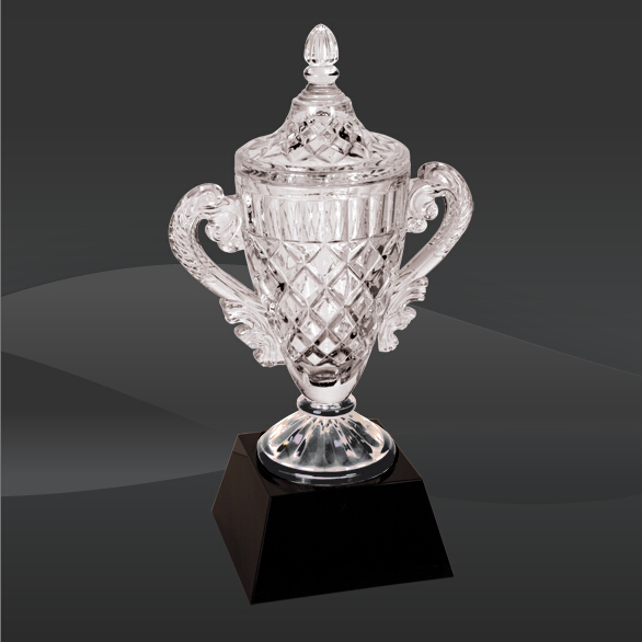 Completely Crystal Trophy Cup