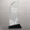 Star Black Etched Crystal Trophy (#72196)