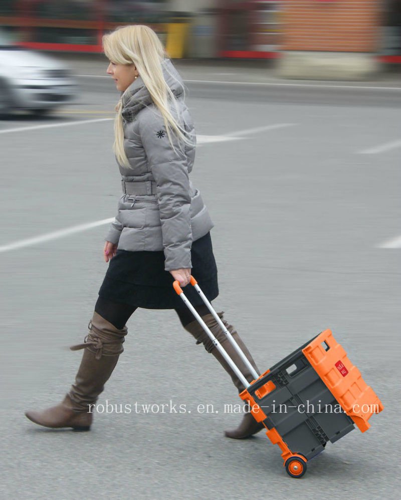 Plastic Folding Shopping Cart (FC403BR-2)