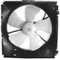 Electric Fan