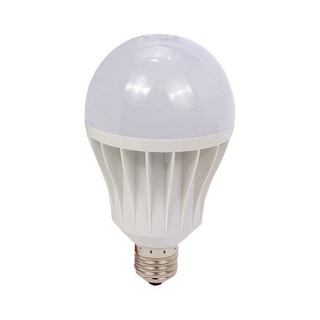 LED Globe Lamps