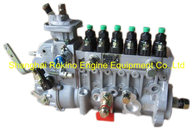 5256008 10403566238 BYC fuel injection pump for Cummins 6BTA5.9-G1