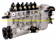 BP1525 C4070-1111100-C27 Longbeng fuel injection pump for Yuhcai YC6C