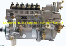 BP12D4 13038668 Longbeng fuel injection pump for Weichai WP6G175E301