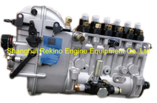 BP6013 617023600300 Longbeng fuel injection pump for Weichai X6170ZC450-2