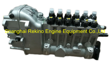BP6646 616067220000 Longbeng fuel injection pump for Weichai R6160ZC490-2 WHM6160C490-2