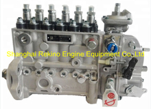 4989873 3975877 6P702 6P702-120-1100 Weifu fuel injection pump for Cummins 6CTA8.3-C260