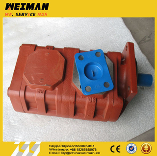 Chinese Brand Sdlg 3t and 5t Wheel Loader Parts Hydraulic Pump /Gear Pump Cbgj2040 /2040-Z2