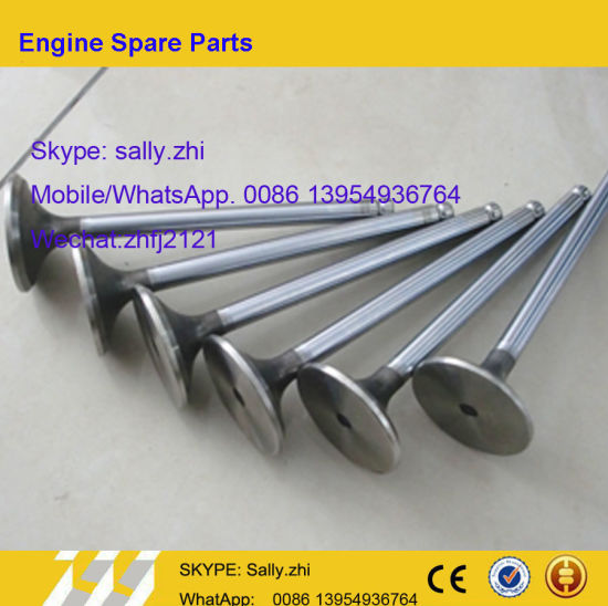 Exhaust Valve C3921444/C3924492 for Dcec Diesel Dongfeng Engine