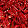 new chilli powder