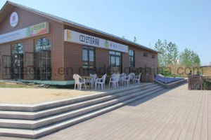 &Eacute;preuve recyclable de termite et Decking en plastique en bois du compos&eacute; WPC d'&eacute;preuve moisie