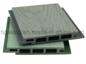 Panneau de mur facile renouvelable de l'&eacute;preuve WPC de termite de surface de nature d'installation