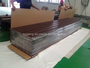 Premi&egrave;res tuiles de Decking de WPC, Decking compos&eacute; en plastique en bois courant pour l'Europe