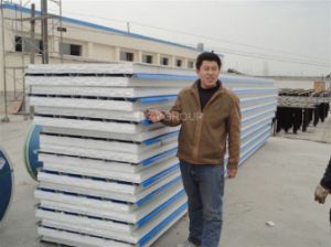 Panneau &quot;sandwich&quot; ignifuge du sandwich Board/EPS au polystyr&egrave;ne PPGI