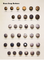 Brass Snap Buttons