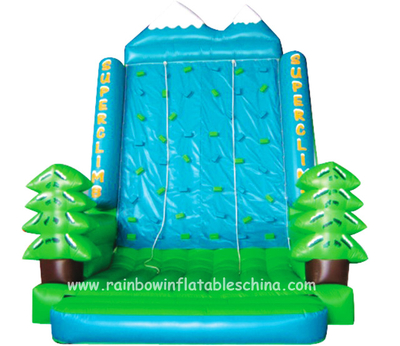 RB13005(5.5x4.3x6.3m) Inflatable Climbing Mountain/ Inflatable Forest Theme Climbing Sport Game