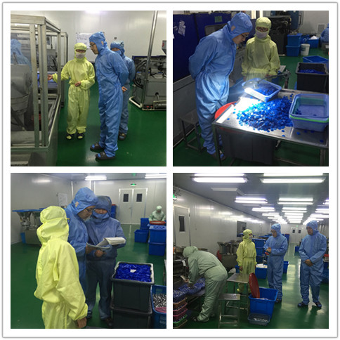 Pfizer China come my factorty to guide work