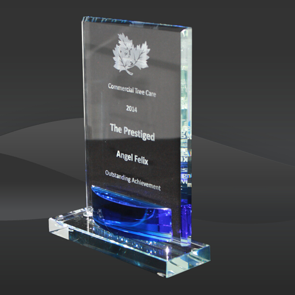 Blue Crystal Rectangle Award (J-CRY541)